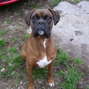 Axel