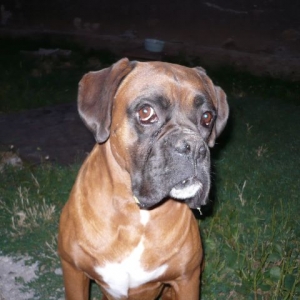 Axel 2