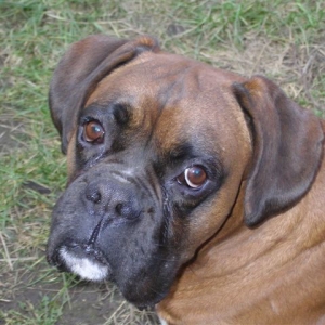 Axel 3