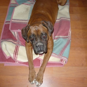 Axel 9