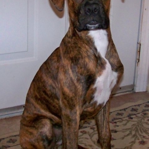 Bella 5mos