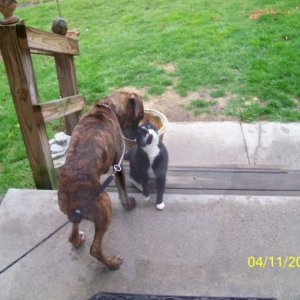 Bella & her friend Talcott