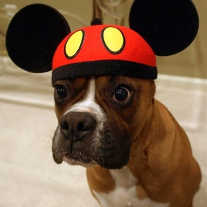 Mickey Tre