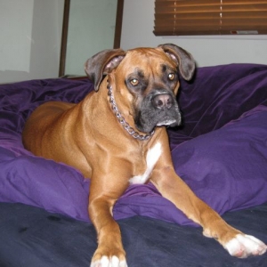 Maggie Relaxing