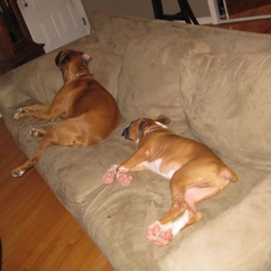 Maggie and Otis