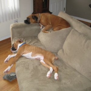 Maggie and Otis