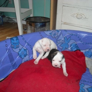 Pandora and her brother