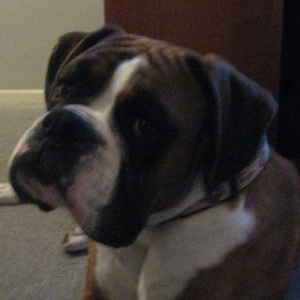 Oscar
