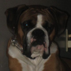 Oscar