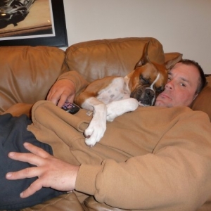 Boxer love...