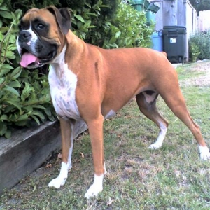 Samantha_3_Years_10_Months_Old