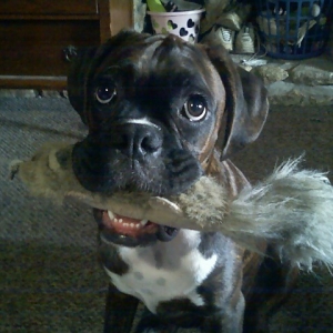 My little boy Rosscoe