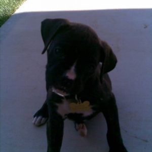 Jasper!