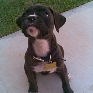 Better pic of Jasper!