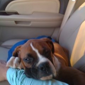 Baxter
