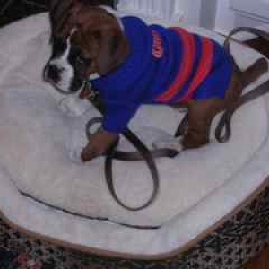 Baxter