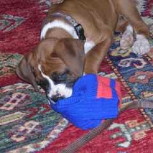 Baxter