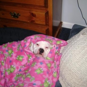 bed time!