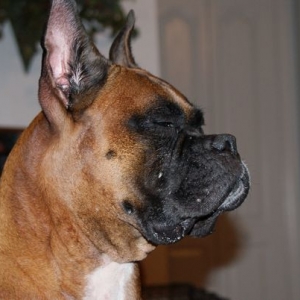 My little girl "TASHA"