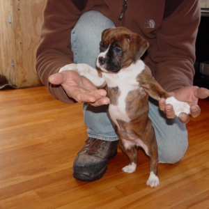 new baby girl