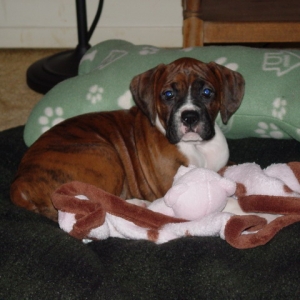 Princess Maggie