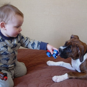 Lets Play