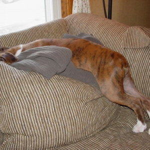Sleeping