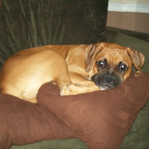 Dexter