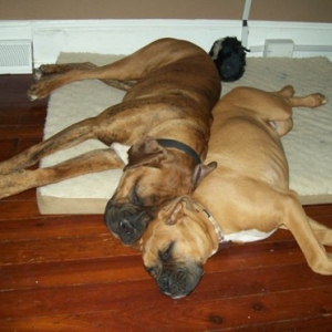 My Sleeping Beauties