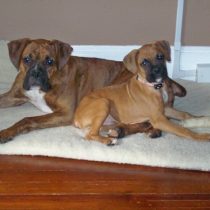 Dex was sooo small!
