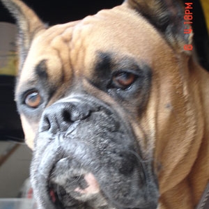 Tyson...so regal