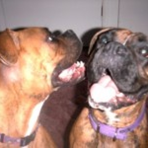 Xanadu and Xena