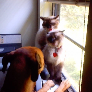 Rudy tryng to fit in........