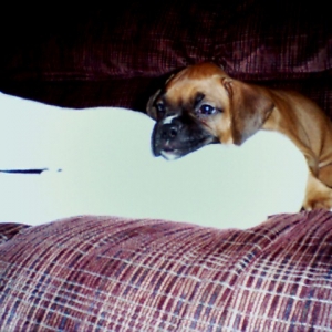 Sammi as a baby