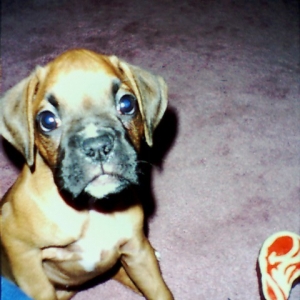 So cute!