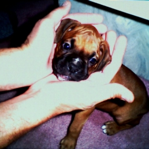 First Day Home - 6 wks old