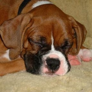 Isn't he cute?