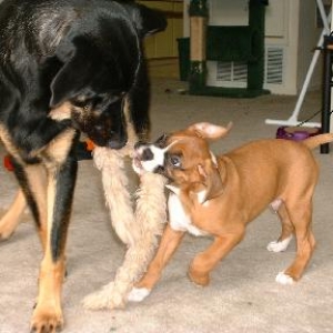 They get along so well