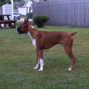 Titus at 9 mths old