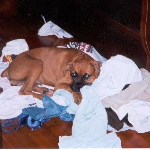 Laundry Day