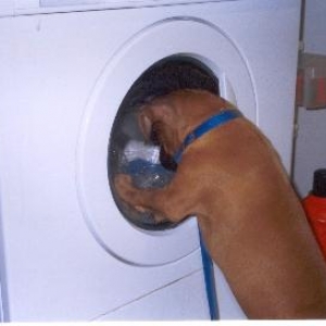 Laundry Day