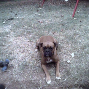 Abby