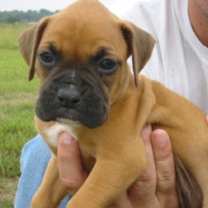 My soon to be baby girl