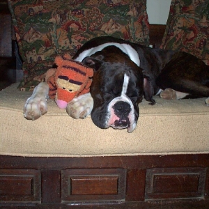 catching some zzzzzzzz