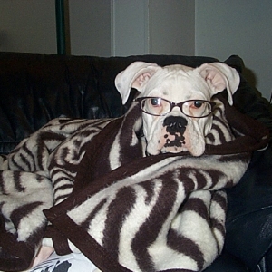Ready to watch a movie