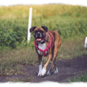 Let's go mom!