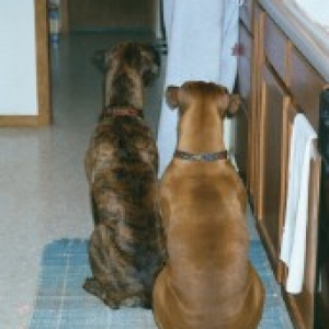 Patience.........