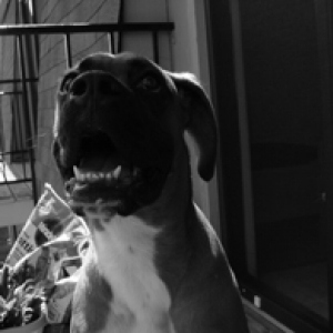 Look at my teeth please...