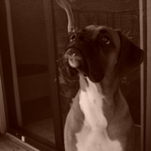 He doesnt look like an alien