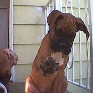 Please, no more pictures mom!